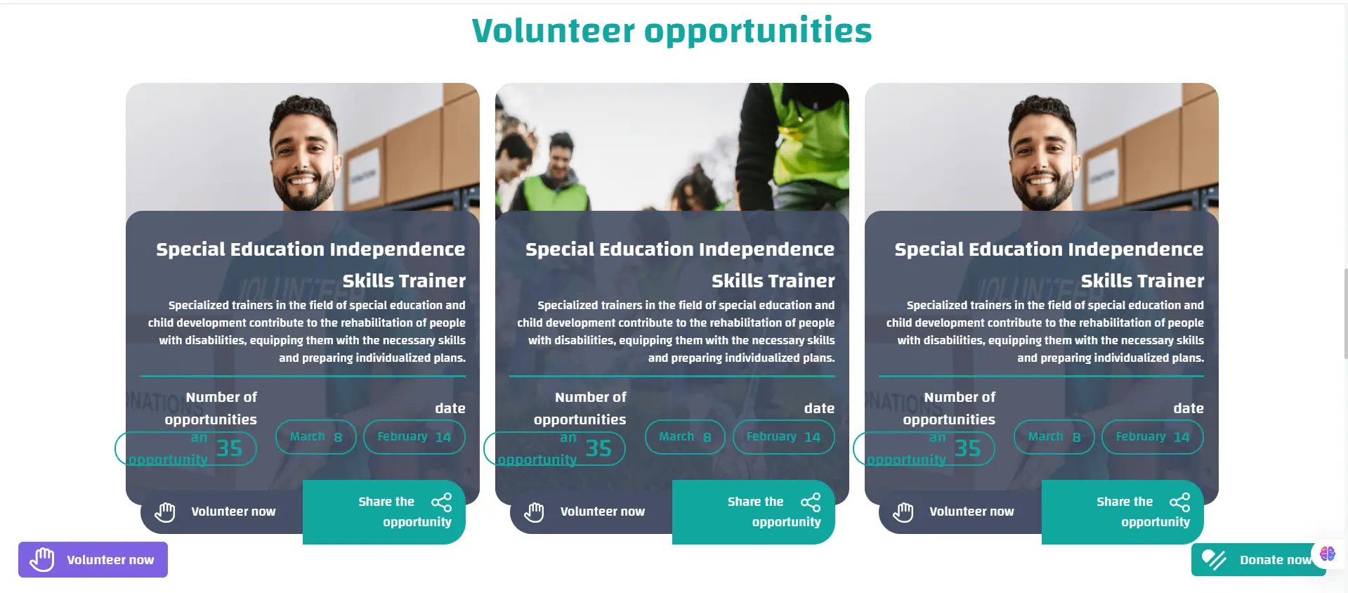 Volunteer Opportunities